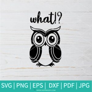 What SVG - Owl Quote SVG - Owl SVG - Angry Owl SVG - Newmody