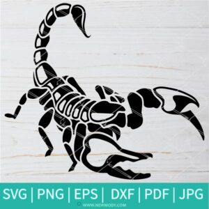 Scorpion SVG-PNG -Halloween SVG - Cut Files for Cricut and silhouette