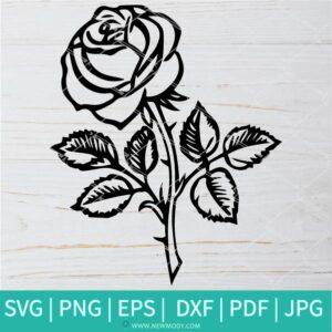 Rose SVG , PNG - Flower SVG Cut Files for Cricut and silhouette