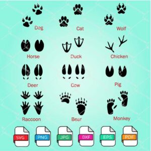 Animal Tracks Svg Bundle - 12 different animal Footprints SVG Newmody